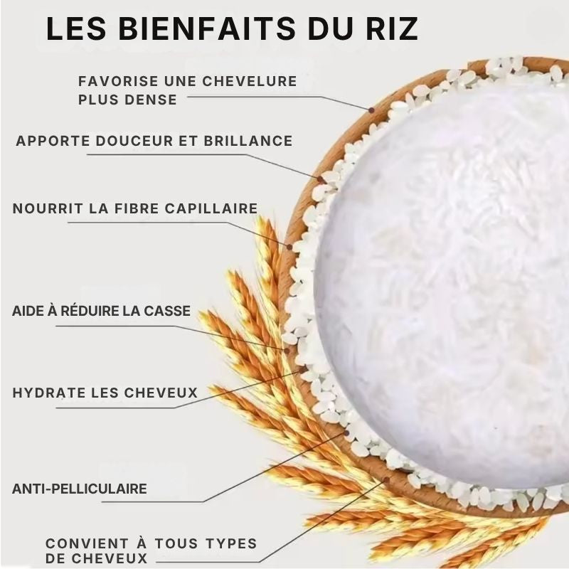 SKT BOOSTER DENSITÉ